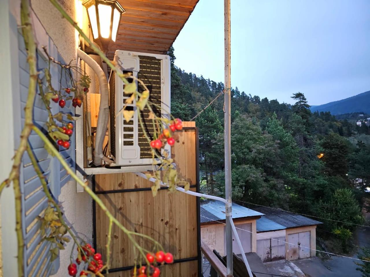 Guest House Likani 2017 Borjomi Ruang foto