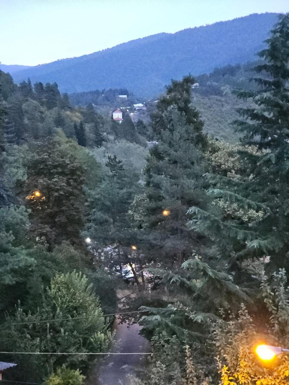 Guest House Likani 2017 Borjomi Ruang foto