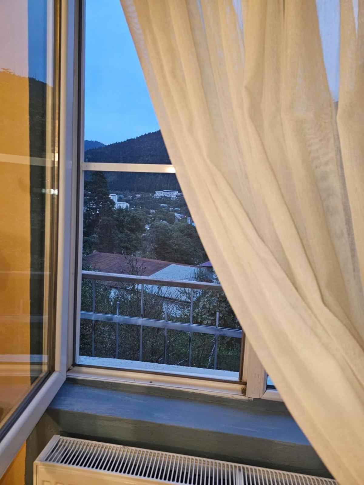 Guest House Likani 2017 Borjomi Ruang foto