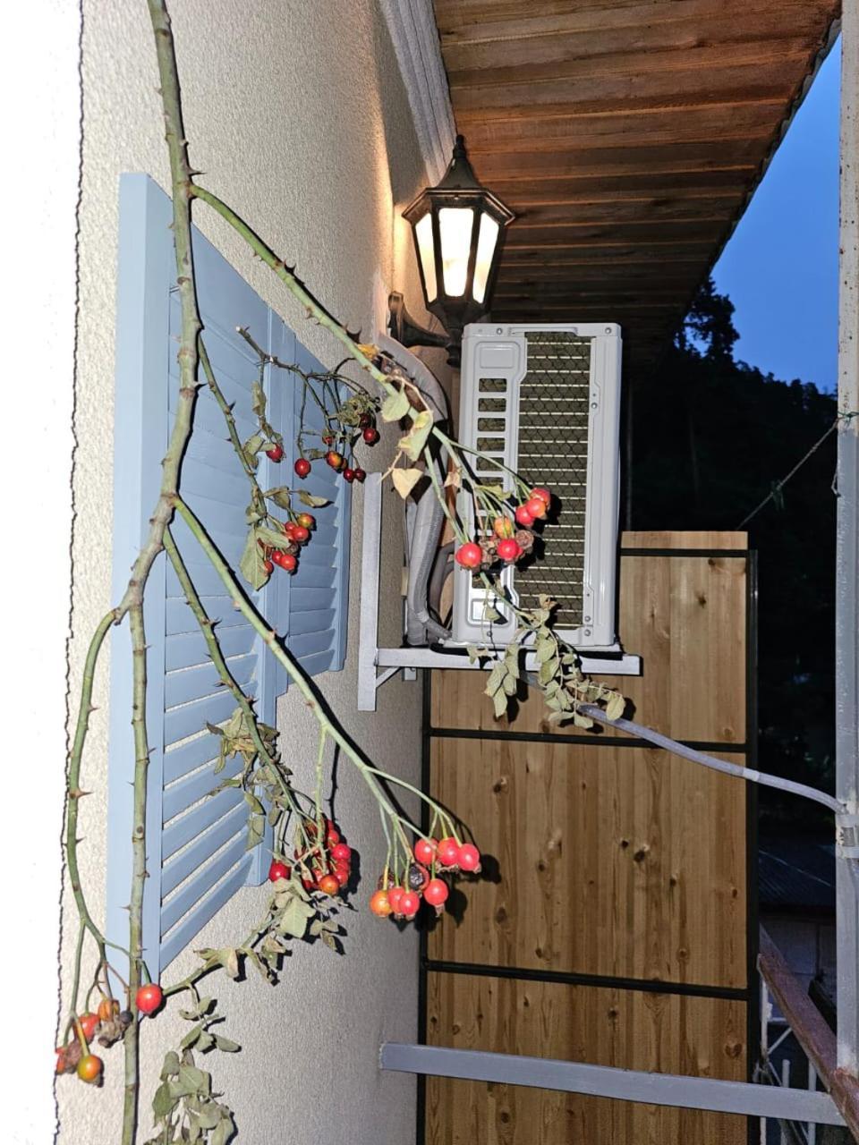 Guest House Likani 2017 Borjomi Ruang foto