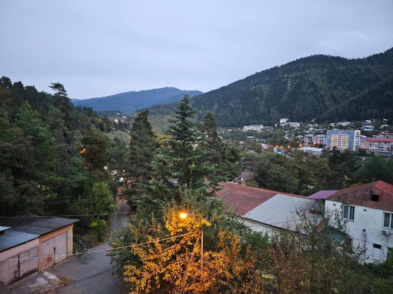 Guest House Likani 2017 Borjomi Ruang foto