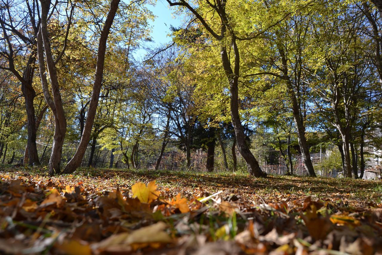 Guest House Likani 2017 Borjomi Bagian luar foto