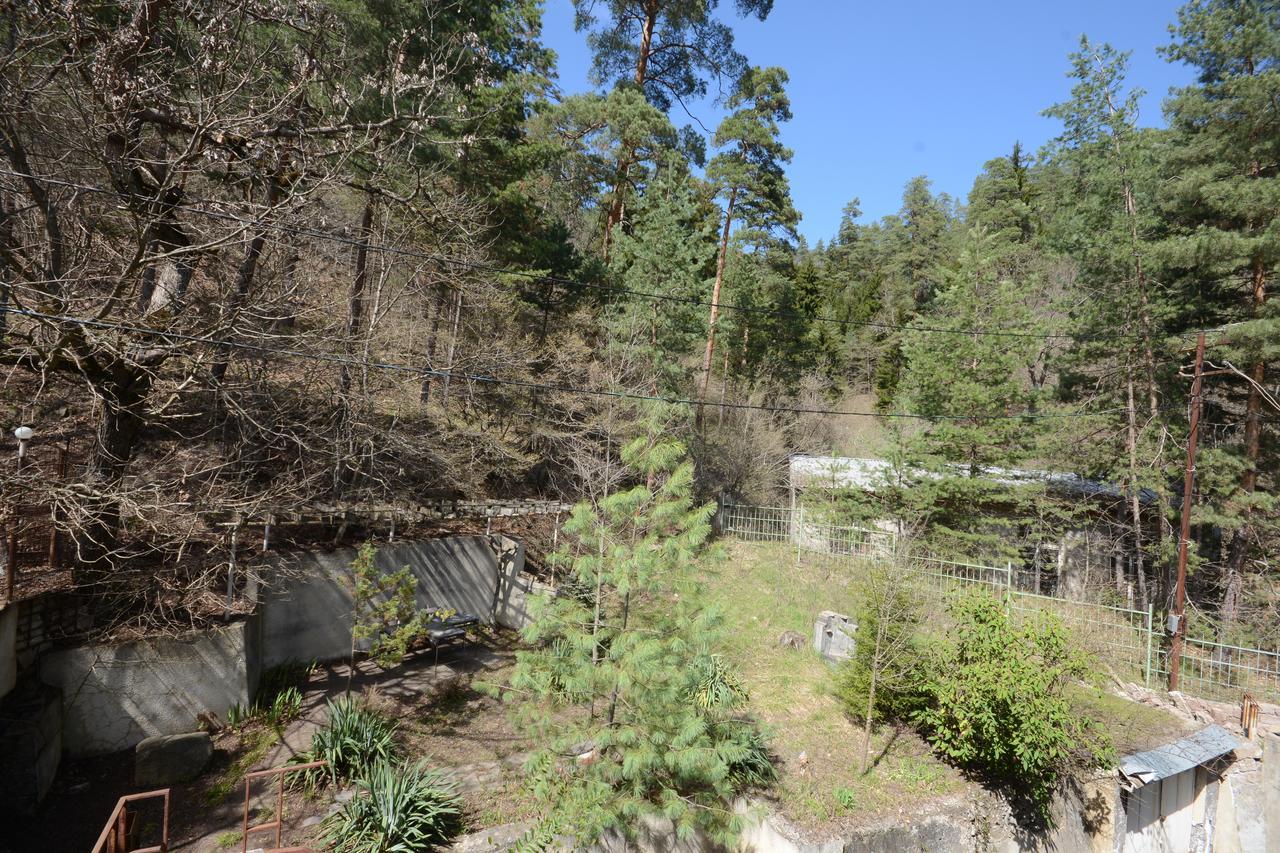 Guest House Likani 2017 Borjomi Bagian luar foto