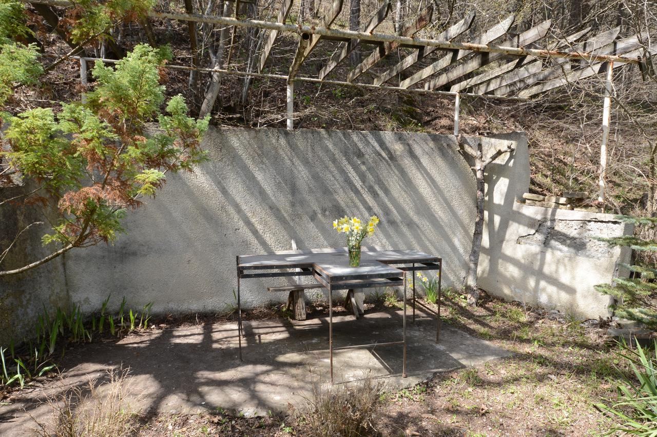 Guest House Likani 2017 Borjomi Bagian luar foto