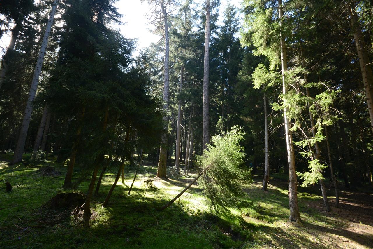 Guest House Likani 2017 Borjomi Bagian luar foto