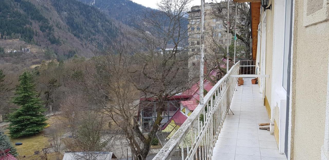 Guest House Likani 2017 Borjomi Ruang foto