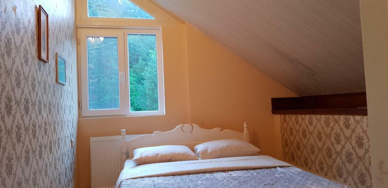 Guest House Likani 2017 Borjomi Bagian luar foto