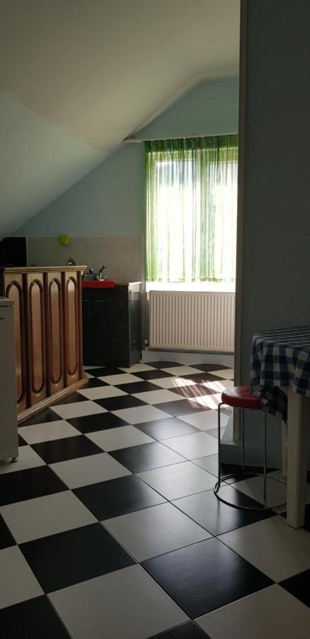 Guest House Likani 2017 Borjomi Bagian luar foto