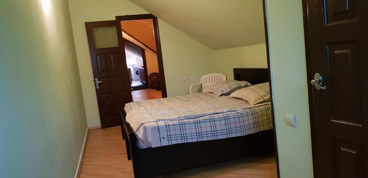 Guest House Likani 2017 Borjomi Bagian luar foto
